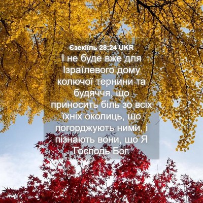 Picture 04 - Єзекіїль 28:24 UKR - І не буде вже для - Bible Verse Picture
