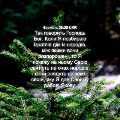 Picture 04 - Єзекіїль 28:25 UKR - Так говорить Господь Бог: - Bible Verse Picture