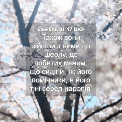 Picture 04 - Єзекіїль 31:17 UKR - Також вони зійшли з ними до - Bible Verse Picture