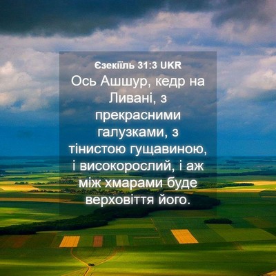 Picture 04 - Єзекіїль 31:3 UKR - Ось Ашшур, кедр на Ливані, з - Bible Verse Picture