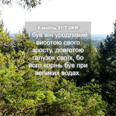 Picture 04 - Єзекіїль 31:7 UKR - І був він уродливий - Bible Verse Picture