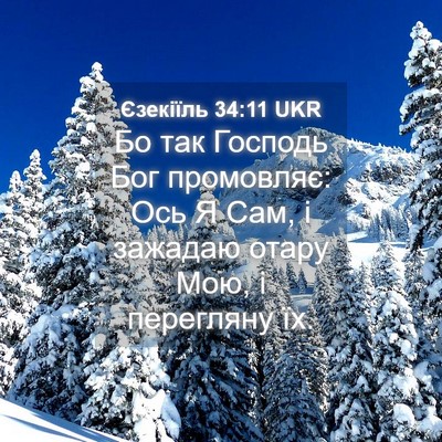 Picture 04 - Єзекіїль 34:11 UKR - Бо так Господь Бог - Bible Verse Picture