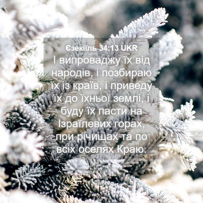 Picture 04 - Єзекіїль 34:13 UKR - І випроваджу їх від - Bible Verse Picture