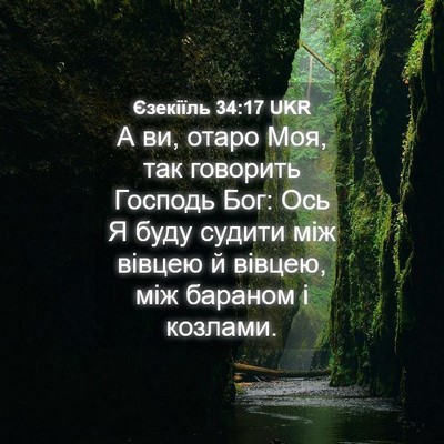 Picture 04 - Єзекіїль 34:17 UKR - А ви, отаро Моя, так - Bible Verse Picture