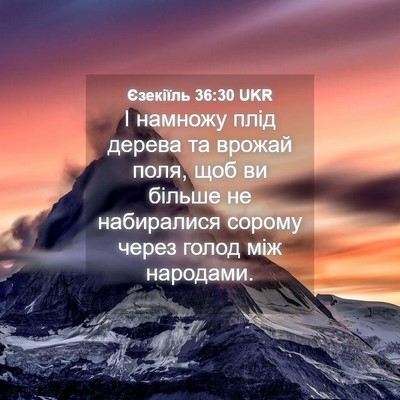 Picture 04 - Єзекіїль 36:30 UKR - І намножу плід дерева та - Bible Verse Picture