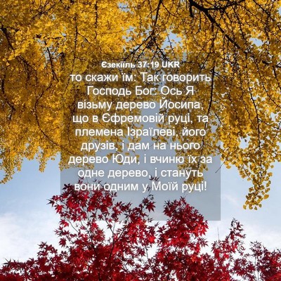 Picture 04 - Єзекіїль 37:19 UKR - то скажи їм: Так говорить - Bible Verse Picture