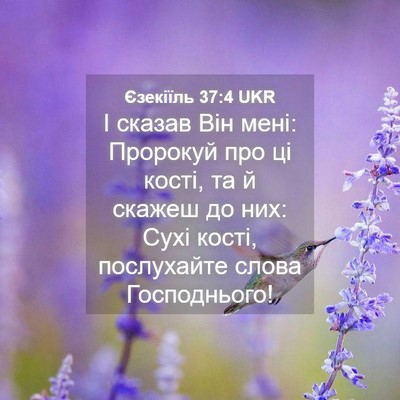 Picture 04 - Єзекіїль 37:4 UKR - І сказав Він мені: Пророкуй - Bible Verse Picture