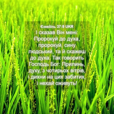 Picture 04 - Єзекіїль 37:9 UKR - І сказав Він мені: Пророкуй - Bible Verse Picture