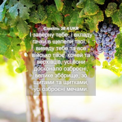 Picture 04 - Єзекіїль 38:4 UKR - І заверну тебе, і вкладу - Bible Verse Picture