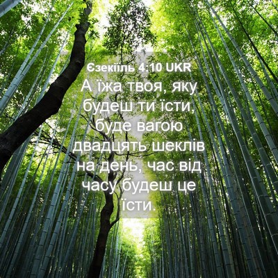 Picture 04 - Єзекіїль 4:10 UKR - А їжа твоя, яку будеш ти - Bible Verse Picture
