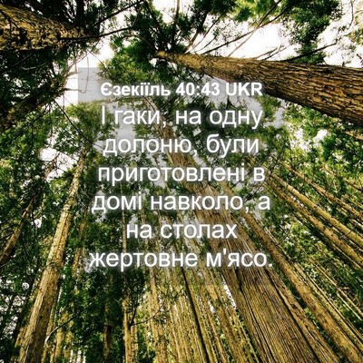 Picture 04 - Єзекіїль 40:43 UKR - І гаки, на одну долоню, були - Bible Verse Picture