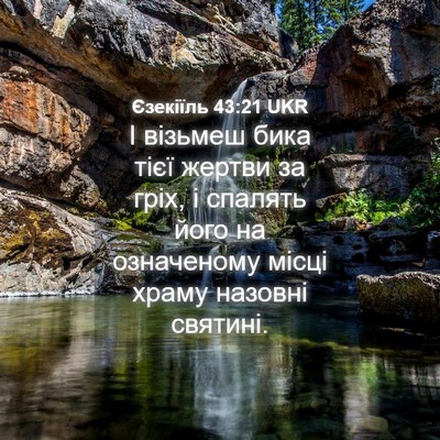 Picture 04 - Єзекіїль 43:21 UKR - І візьмеш бика тієї жертви - Bible Verse Picture