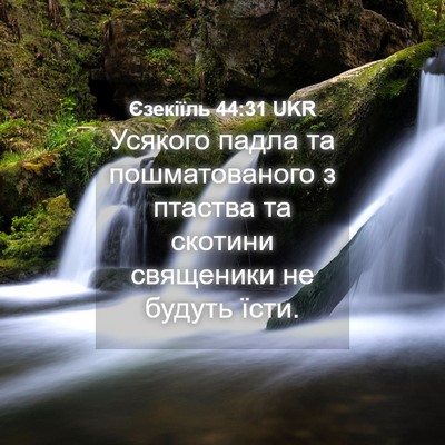 Picture 04 - Єзекіїль 44:31 UKR - Усякого падла та - Bible Verse Picture