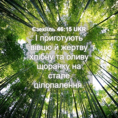 Picture 04 - Єзекіїль 46:15 UKR - І приготують вівцю й - Bible Verse Picture