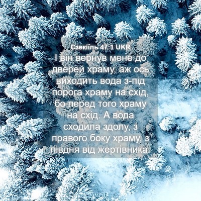 Picture 04 - Єзекіїль 47:1 UKR - І він вернув мене до дверей - Bible Verse Picture