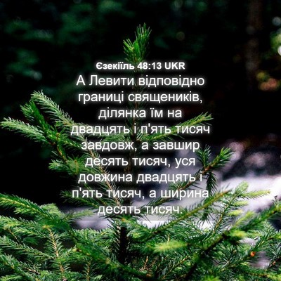 Picture 04 - Єзекіїль 48:13 UKR - А Левити відповідно - Bible Verse Picture