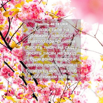 Picture 04 - Єзекіїль 48:18 UKR - А позостале на довжину - Bible Verse Picture