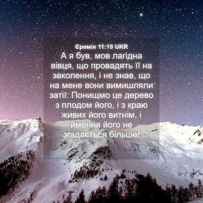 Picture 04 - Єремія 11:19 UKR - А я був, мов лагідна вівця, - Bible Verse Picture