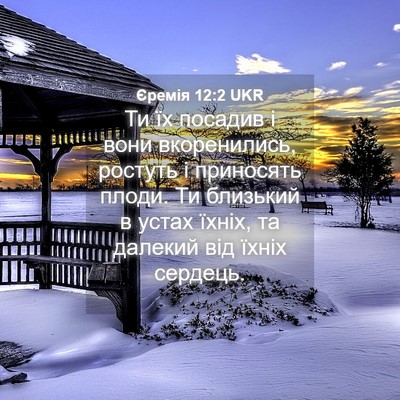Picture 04 - Єремія 12:2 UKR - Ти їх посадив і вони - Bible Verse Picture