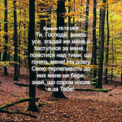 Picture 04 - Єремія 15:15 UKR - Ти, Господи, знаєш усе, - Bible Verse Picture