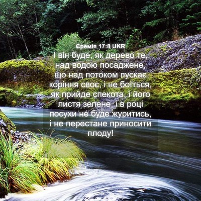 Picture 04 - Єремія 17:8 UKR - І він буде, як дерево те, - Bible Verse Picture
