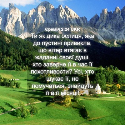 Picture 04 - Єремія 2:24 UKR - Ти як дика ослиця, яка до - Bible Verse Picture