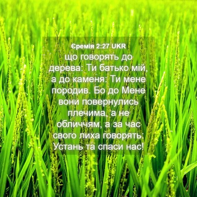 Picture 04 - Єремія 2:27 UKR - що говорять до дерева: Ти - Bible Verse Picture