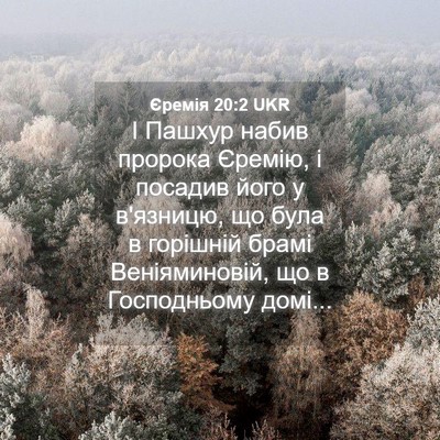 Picture 04 - Єремія 20:2 UKR - І Пашхур набив пророка - Bible Verse Picture