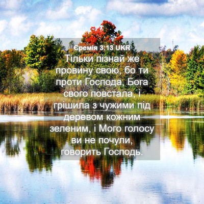 Picture 04 - Єремія 3:13 UKR - Тільки пізнай же провину - Bible Verse Picture