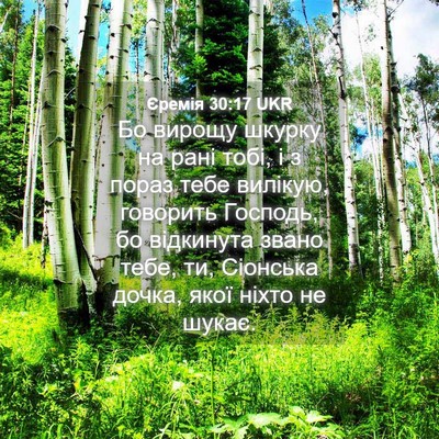 Picture 04 - Єремія 30:17 UKR - Бо вирощу шкурку на рані - Bible Verse Picture