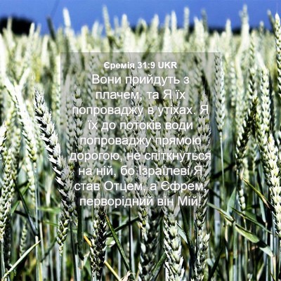 Picture 04 - Єремія 31:9 UKR - Вони прийдуть з плачем, та - Bible Verse Picture