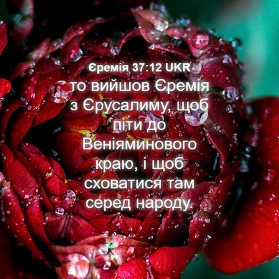 Picture 04 - Єремія 37:12 UKR - то вийшов Єремія з - Bible Verse Picture