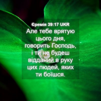 Picture 04 - Єремія 39:17 UKR - Але тебе врятую цього дня, - Bible Verse Picture