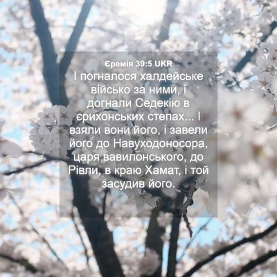 Picture 04 - Єремія 39:5 UKR - І погналося халдейське - Bible Verse Picture