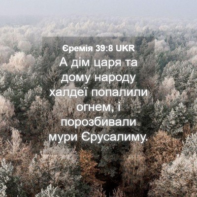 Picture 04 - Єремія 39:8 UKR - А дім царя та дому народу - Bible Verse Picture
