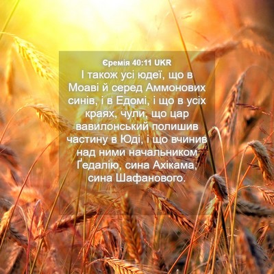 Picture 04 - Єремія 40:11 UKR - І також усі юдеї, що в Моаві - Bible Verse Picture