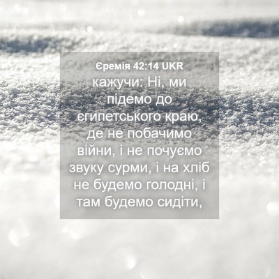 Picture 04 - Єремія 42:14 UKR - кажучи: Ні, ми підемо до - Bible Verse Picture