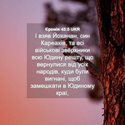 Picture 04 - Єремія 43:5 UKR - І взяв Йоханан, син - Bible Verse Picture
