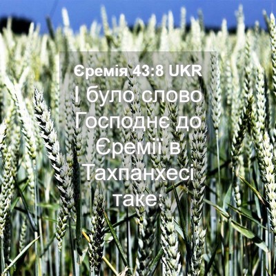 Picture 04 - Єремія 43:8 UKR - І було слово Господнє до - Bible Verse Picture
