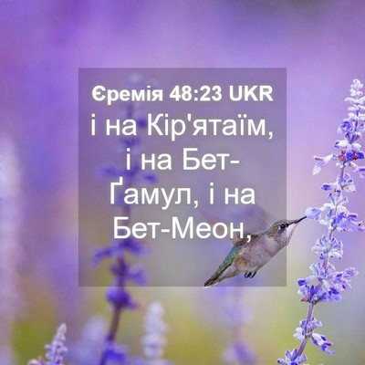 Picture 04 - Єремія 48:23 UKR - і на Кір'ятаїм, і на - Bible Verse Picture