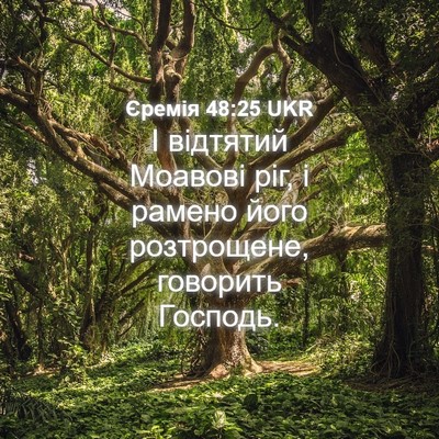 Picture 04 - Єремія 48:25 UKR - І відтятий Моавові ріг, і - Bible Verse Picture
