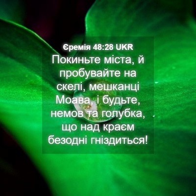 Picture 04 - Єремія 48:28 UKR - Покиньте міста, й - Bible Verse Picture