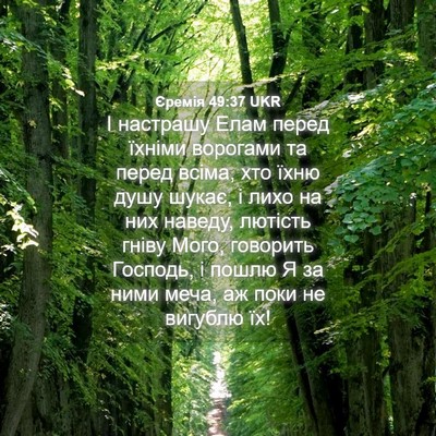 Picture 04 - Єремія 49:37 UKR - І настрашу Елам перед - Bible Verse Picture