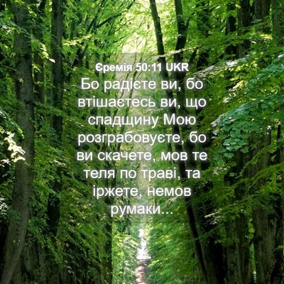 Picture 04 - Єремія 50:11 UKR - Бо радієте ви, бо - Bible Verse Picture