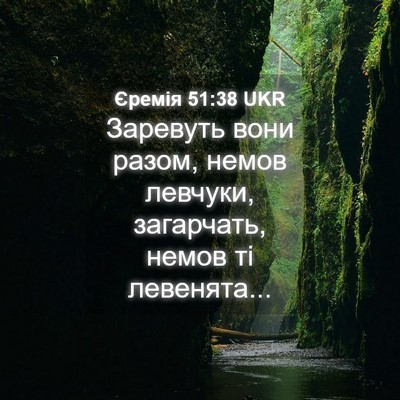 Picture 04 - Єремія 51:38 UKR - Заревуть вони разом, немов - Bible Verse Picture