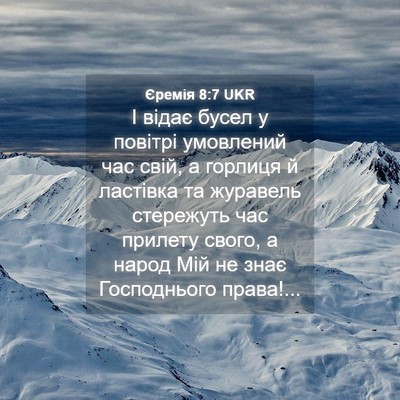 Picture 04 - Єремія 8:7 UKR - І відає бусел у повітрі - Bible Verse Picture