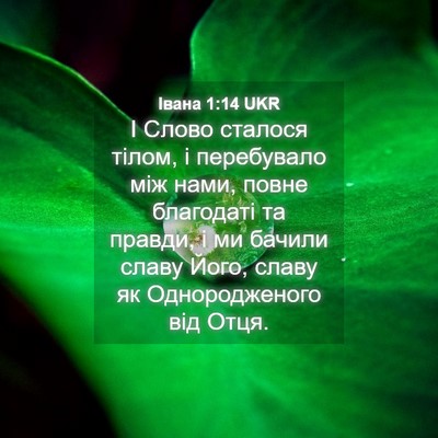 Picture 04 - Івана 1:14 UKR - І Слово сталося тілом, і - Bible Verse Picture