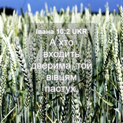 Picture 04 - Івана 10:2 UKR - А хто входить дверима, той - Bible Verse Picture