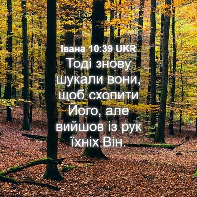 Picture 04 - Івана 10:39 UKR - Тоді знову шукали вони, щоб - Bible Verse Picture