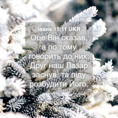 Picture 04 - Івана 11:11 UKR - Оце Він сказав, а по тому - Bible Verse Picture
